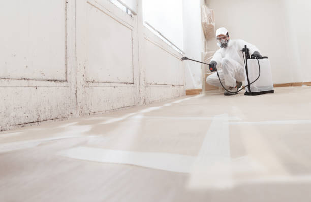 24/7 Emergency Mold Remediation experts in Great Falls, VA